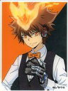 【中古】キャラカード 沢田綱吉(背景カラー) 「家庭教師ヒットマンREBORN! アニメイトフェア in 2025 描き下ろし カジノver. トレーディングアクリルカード」