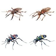 【中古】トレーディングフィギュア 全4種セット 「いきもの大図鑑アドバンス オオキバウスバカミキリとハンミョウ」