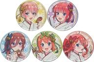 šۥХåԥ 5糧å ָʬβֲǢ ֥饤ɴ̥Хå C103å