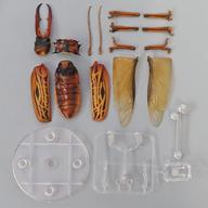 【中古】トレーディングフィギュア オオキバウスバカミキリ(ライト) 「いきもの大図鑑アドバンス オオキバウスバカミキリとハンミョウ ディスプレイスタンドセット」 ガシャポンオンライン限定