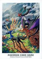 [Usado] Suministro Juego de cartas Pokemon Deck Shield (Manga) Las aventuras de Kalos Xerneas y Onburn Pokemon Center / Pokemon Card Gym Limited