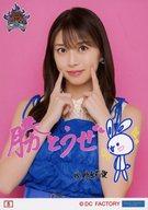 ͥåȥå׽ٲϲŷԾŹ㤨֡š̿(ϥץ/ɥ/⡼˥̼24 5⡼˥̼24/轰/֥⡼˥̼24 󥵡ȥĥ WE CAN DANCE !Bla Eldİͤ FINALץ쥯̿פβǤʤ230ߤˤʤޤ