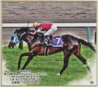 【中古】紙製品 オジュウチョウサン号(第18回 中山グランドジャンプ/ノーマル) 「オジュウチョウサン号 トレーディングmini色紙」