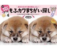 【中古】カルチャー雑誌 ≪諸芸・娯楽≫ 癒されながら脳を鍛えよう! 何ともかわいすぎる もふカワまちが..