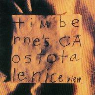 【中古】ジャズCD ティム・バーン / ナイス・ビュー(廃盤)