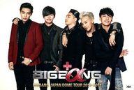 ͥåȥå׽ٲϲŷԾŹ㤨֡šۥݥȥ( [ñ] BIGBANG ݥȥ(طʡۥ磻 Blu-ray/DVD BIGBANG JAPAN DOME TOUR 20132014 ͽŵפβǤʤ490ߤˤʤޤ