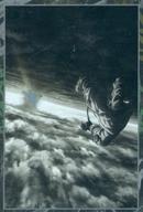 ͥåȥå׽ٲϲŷԾŹ㤨֡šۥ˥ϥȥ쥫/Ρޥ/TV˥إ ɥϡ[2795418] 17[Ρޥ]ƥӥ奢פβǤʤ230ߤˤʤޤ