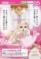 ͥåȥå׽ٲϲŷԾŹ㤨֡š۴ȥ/˥󥺥ɥڡ 󥺤ˤפ2025 No.137դפβǤʤ230ߤˤʤޤ