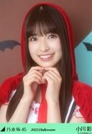 発売日 2022/10/07 メーカー 乃木坂46LLC 型番 - 関連商品はこちらから 乃木坂46LLC　