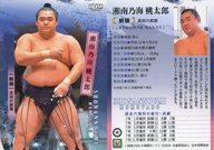 【中古】BBM/レギュラーカード/BBM 2026 大相撲カード 37[レギュラーカード]：湘南乃海 桃太郎(キラカード版)