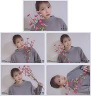 【中古】生写真(AKB48・SKE48)/アイドル/AKB48 ◇茂木