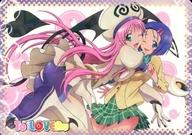 【中古】アニメ系トレカ/スペシャルカード/SPカード/To LOVEる -とらぶる- トレーディングカード SP09[スペシャルカード]：ララ＆西連寺春菜