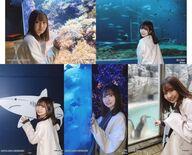 【中古】生写真(AKB48・SKE48)/アイドル/NGT48 ◇對馬