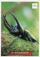 楽天市場】クワガタ 幼虫（トレーディングカード｜トレーディング