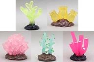 【中古】トレーディングフィギュア 全5種セット 「ビューティフルサンゴ2 クリア蓄光フィギュア」