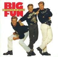 輸入洋楽CD BIG FUN / A POCKETFUL OF DREAMS SPECIAL EDITION