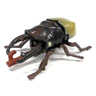 【中古】食玩 おもちゃ 6.アカアシツヤクワガタ 「昆虫パーク2002」