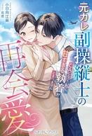 【中古】ライトノベルその他サイズ ≪ロマンス小説≫ 元カレ副操縦士の再会愛 〜CAになった私に、甘すぎる執着が止まりません〜 / 小日向江麻【中古】afb