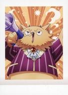 カイム・カムイの画像