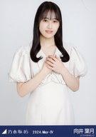 【中古】生写真(坂道シリーズ)/アイドル/乃木坂46 向井葉月/上半身・マーメイドワンピ/「乃木坂46 2024.May-IV」会場限定ランダム生写真