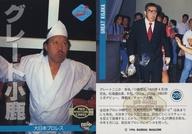 【中古】BBM/レギュラーカード/BBM’96 プロレスカード 209[レギュラーカード]：グレート小鹿