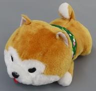 発売日 2020/03/31 メーカー アミューズ 型番 - 中古注意事項 ※こちらの商品はアミューズメント専用景品となります。※中古商品に関しましては、袋、タグ等の有無は保証しておりません。※こちらの商品はクリーニング不可商品となっております。予めご了承ください。 備考 商品解説■今回は可愛いお団子＆手まり飴柄の風呂敷やおりぼんをつけて、みんなでゴロゴロうたた寝気分です☆【商品詳細】サイズ：全長約35cm 関連商品はこちらから アミューズ　