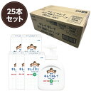 【25個セット】ライオン キレイキレイ液体ハンドソープ ギフトプレゼントに便利な化粧箱入 250ml ノベルティグッズ 菌を増やさない抗菌ポンプヘッド採用 殺菌...