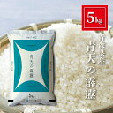 青森県産 青天の霹靂 米 5kg 精米 白米 おくさま印 食品 国産 送料無料 5キロ