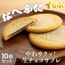 【送料別】 生サブレ 10個セット サブレ チョコサブレ バレンタイン ホワイトデー お返し 早割 チョコサンド チョコ 生チョコ クッキー お菓子 おかし ギフト プチギフト 焼き菓子 和菓子 プレゼント お取り寄せ スイーツ 絶品 お取り寄せスイーツ 個包装