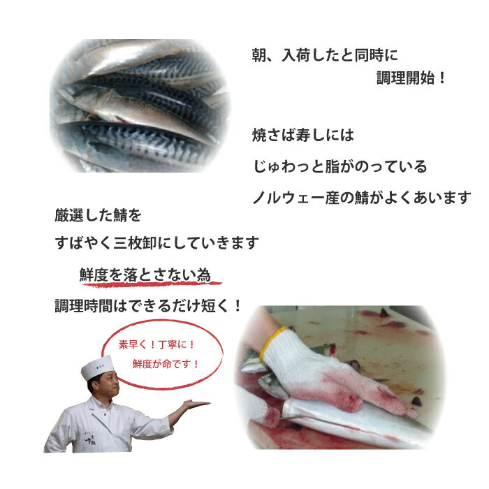 【お試し＆送料込み】 焼き鯖寿司 （カットなし）さらに2本ご注文で宍道湖しじみオマケ 保冷バック冷蔵便　セール　ポイント　仁多米シャリ