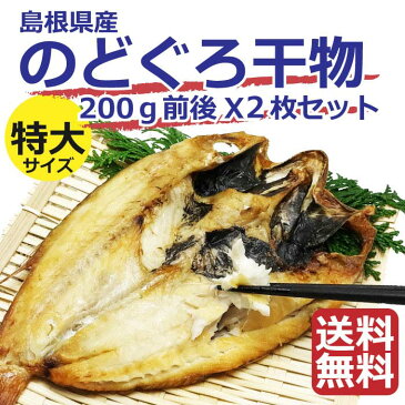 【特大のどぐろ一夜干しX2尾】送料無料　海産物　女性　のどぐろ　干物　贈り物　お取り寄せ　しじみ　味噌汁　島根県　冷凍便　ギフト包装　のし無料 t1 母の日