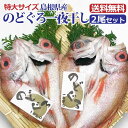 【特大のどぐろ一夜干しX2尾】海産物　のどぐろ　干物　贈り物　お取り寄せ　冷凍便