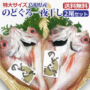 特大 のどぐろ干物X2枚セット 無添加　山陰日本海沖のノドグロ開き干し ギフト　包装のし+216円　送料無料　ノドグロ　一夜干し　国産 セット 旬干し　高級魚 のどぐろ入り　日本酒　とあう　プレゼント　真空パック ビール　お酒　にあう t1