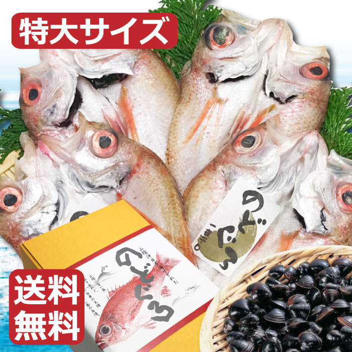 敬老の日ギフト【特大のどぐろ一夜干しX4尾　宍道湖しじみX4袋】　送料無料　海産物　女性　のどぐろ　干物　贈り物　お取り寄せ　しじみ　味噌汁　冷凍便　ギフト包装　のし無料 お中元　早割　送料無料