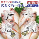 【特大のどぐろ一夜干しX4尾】海産物 のどぐろ 干物 贈り物 お取り寄せ 冷凍便