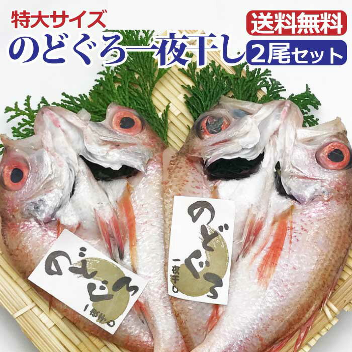 特大 のどぐろ干物X2枚セット 無添加　日本海の幸　白身のトロ 高級 ノドグロ ギフト 日本酒とあう 贈り物 プレゼント に最適　のど黒 一夜干し 旬　島根県 出雲 から 出雲大社 人気商品