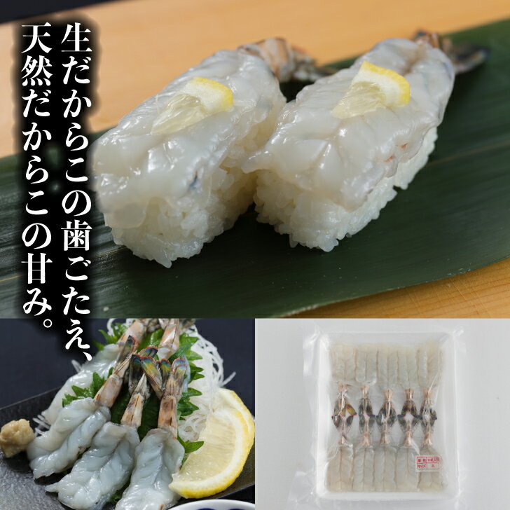 樂天商城 - 寿司ネタ 活〆生車エビ開き2L(9-10cm) 10尾 すしねた 車海老 くるまえび クルマエビ 刺身用 生食用 手巻き寿司