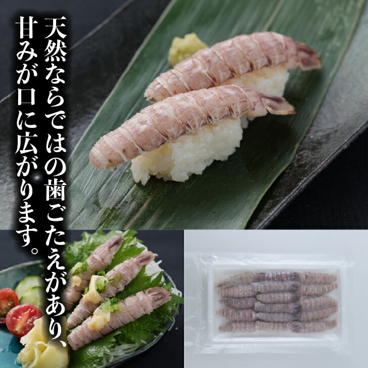乐天商城 - 生食用 寿司ネタ ボイルシャコ 16尾 蝦蛄 すしねた ボイル エビ 無添加 殻むき しゃこ 長さ 手巻き寿司