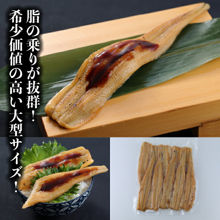 乐天商城 - 寿司ネタ 煮穴子フィレ50g×10尾 無添加 すしねた 業務用 あなご アナゴ 1本物 海鮮丼 巻物 やわらか 大ネタ 長ネタ 煮込み 手巻き寿司