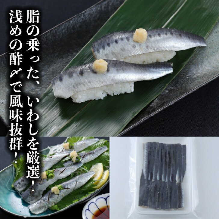 寿司ネタ　生食用　いわし酢〆フィレ約15g×20枚　国産　業務用　すしねた　イワシ...
