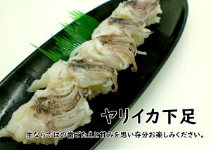 寿司ネタ　ヤリイカ下足5～6g×20枚　すしねた　やりいか　げそ　ゲソ　槍いか　のせるだけ　生食用　刺身用　手巻き寿司