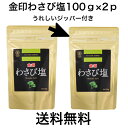 金印 わさび 塩 100g (ジッパー付き)×2p