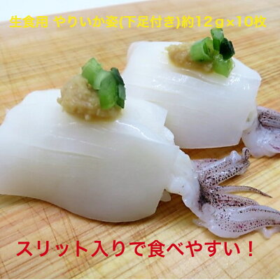 ヤリイカとは その生態や絶品人気レシピ8選 正しいさばき方含めてご紹介 Kurashi No ヤリイカとは その生態や絶品人気レシピ8選 正しいさばき方含めてご紹介 Kurashi No