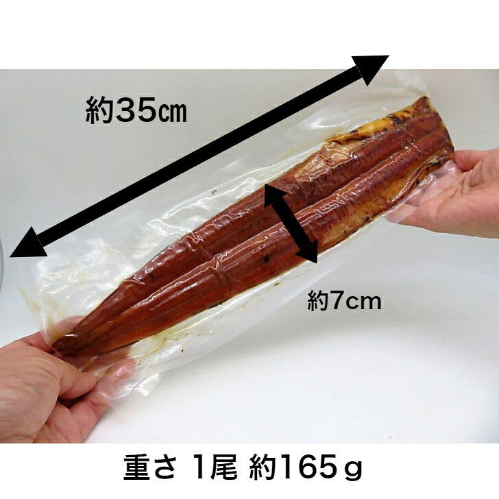 【特大 焼き穴子蒲焼 1尾真空】 焼穴子 焼アナゴ 焼あなご 焼き穴子 焼きアナゴ 焼...
