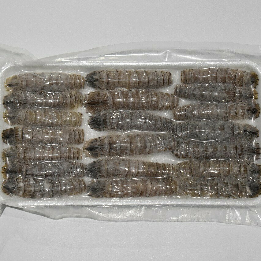 【送料無料】生食用 寿司ネタ ボイルシャコ 28尾(14尾真空×2p) 蝦蛄 すしねた ボイル エビ 無添加 殻むき しゃこ 長さ 手巻き寿司 2