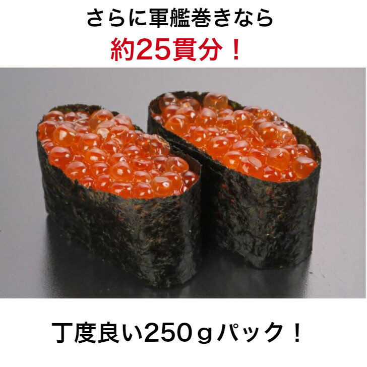 いくらとアボカドのナイスコンビセット 紅鮭 いくら油漬け250g アボカドダイスカット500g