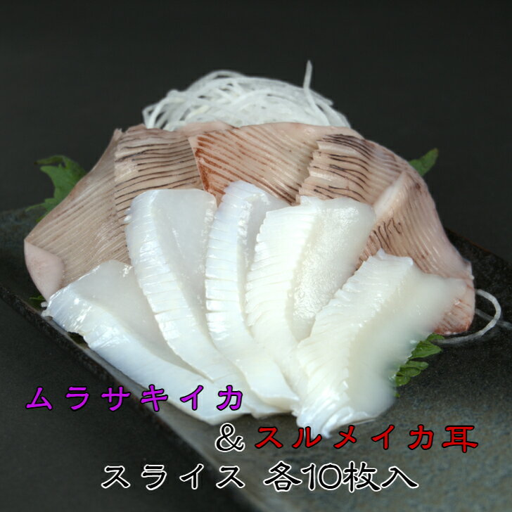 楽天市場】スルメ 10枚の通販