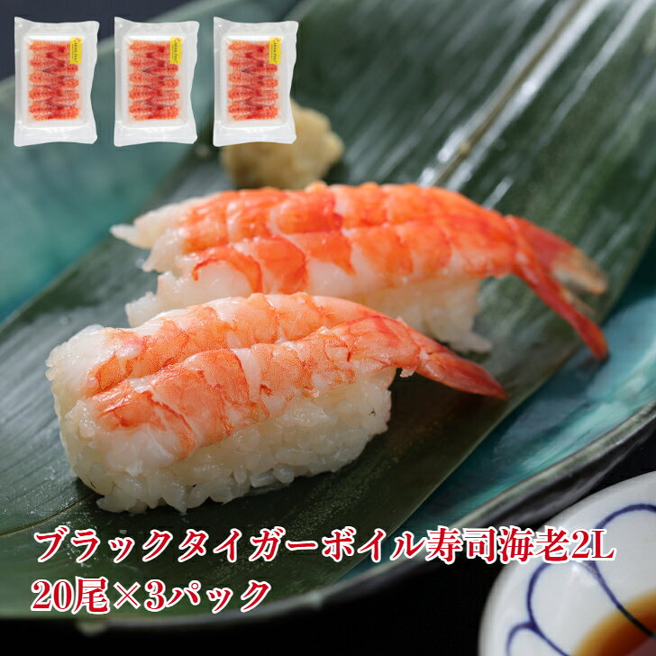 3パック 【送料無料】 寿司ネタ ブラックタイガーボイル寿司海老2L60尾 海老 BT ブラックタイガー 定番 刺身 冷凍 ボイル済 業務用 家庭用