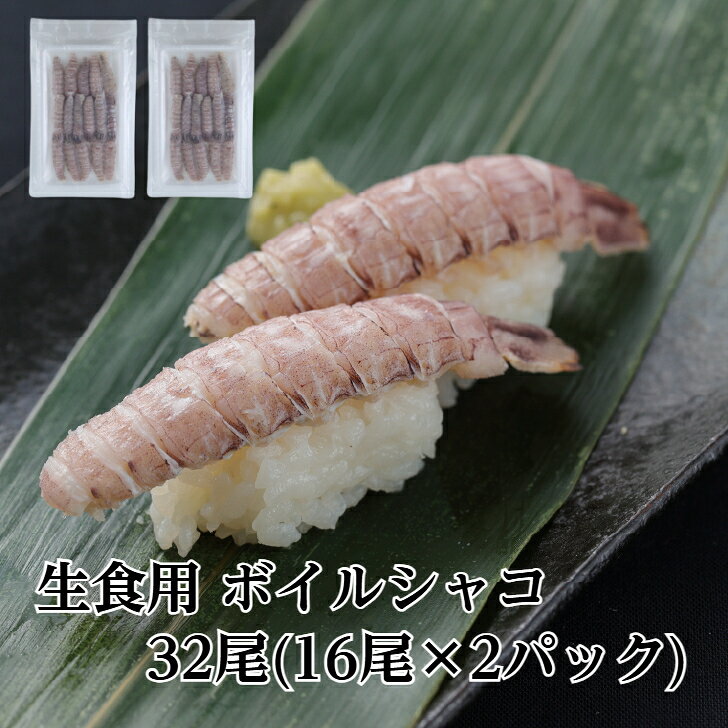 【送料無料】生食用 寿司ネタ ボイルシャコ 32尾(16尾真空×2p) 蝦蛄 すしねた ボイル エビ 無添加 殻むき しゃこ 長さ 手巻き寿司 解凍して、シャリにのせるだけ！ 生食用 寿司ネタ ボイルシャコ 32尾(16尾真空×2p)解凍して、シャリにのせるだけ！殻むき済！あとはシャリに乗せるだけ　ボイルシャコボイルシャコをお手頃価格でご提供。ボイルし、殻を剥いて冷凍しております。鮮度のいいうちに殻をむき、そのままシャリにのせるだけ。そのまま寿司のネタとしてご使用ください。シャコならではの歯ごたえがあり、天然ならではの甘みが口に広がります。そのままシャリにのせる状態でお送りいたしますので、調理の手間は全くありません。ボイルしていますのでシャコ本来の味を楽しめます。ボイルシャコならではの歯ごたえと甘みを思い存分お楽しみください。 12