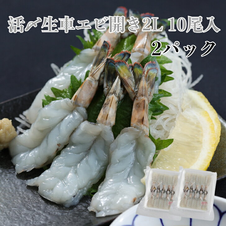 2パック 寿司ネタ 活〆生車エビ開き2L(9-10cm) 10尾 すしねた 車海老 くるまえび クルマエビ 刺身用 生食用 手巻き寿司